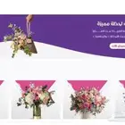 متجرك الإلكتروني جاهز خلال أيام وبسعر مناسب