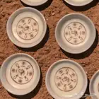 شموع التأسيس