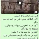 فحل سلالة قوية