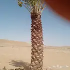 السلام عليكم ورحمه الله وبركاته