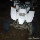 دباب أربعة كفر سويدي للبيع
