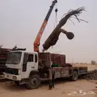 كرين الخرج الرحمانيه الهياثم الدلم