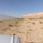 تشبيك المواقع والمزارع