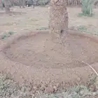 نعمل في جميع اشغال انخيل