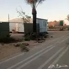 تكريب وتوريد وغرس النخل