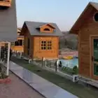 رحلة من مكة للشفا