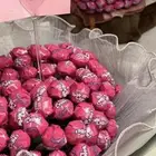 توزيعات