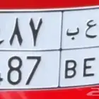 لوحة مميزة رعب 487