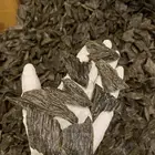 عود