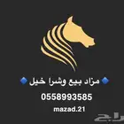 مزاد بيع وشرا خيل