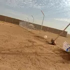مقاول شبوك ونخيل