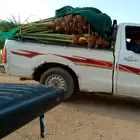 السلام عليكم يوجد لدينا جميع انواع انخيل