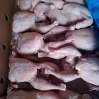 دجاج بشاير