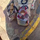5 كيلو شرط كب كله كبير