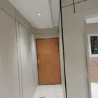 شيبرد وبديل الحجر