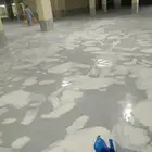 epoxy majone