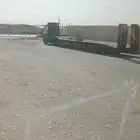 لوبد في المدينة النمور عل أي تجه ثلاثة محور