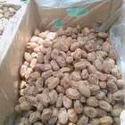 تمور خلاص فلة طيب طيب