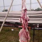 مدينه رماح وماحولها الى شويا