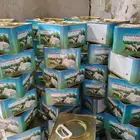 جبنه عرب مقليه