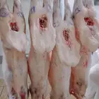 ذبائح نعيمي كشميري وصول رحله جديده