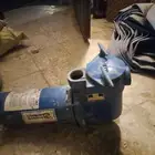 دينمو سمنان 2 حصان