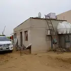 مزرعة للايجار