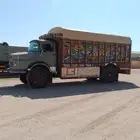 عايدي 82 شاص اساس