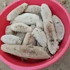 عسل بري حر الكيلوب100 المجموع35 كيلو طازج اليوم.