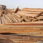 شبيه الجاوي