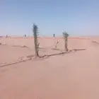 يتوفر لدينا جميع انواع انخيل وجميع المقاست وتركيب الشبوك