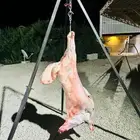 معلم مشويات خارجي