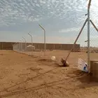 مقاول شبوك ونخيل