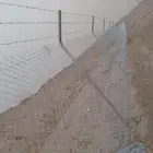 مقاول شبوك ونخيل
