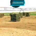 ثيل طبيعي C2000