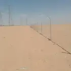 شبوك شبوك مزارع. شبوك شبوك مزارع شبوك