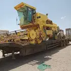 لوبد في المدينة النمور عل القصيم او ارياض ثلاثة محور 0532105