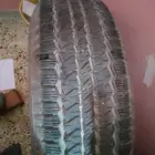 التاريخ 2013 بزرعه