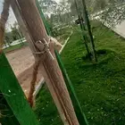 مفتاح ضايع