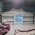 بيت شعر ملكي خيم صقور