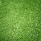 ثيل صناعي عشب صناعي