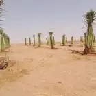 توريد وتركيب