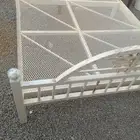 يبس القرن