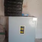 فقاسه المربي الزكي500 بيضه