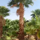 يتوفرواشنطني متين للتواصل