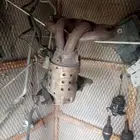 رصاص اكسنت 2017. مقاس المكينه 1400 مليان ونضيف على الشرط