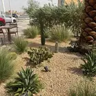 تنسيق حدائق زراعية الرياض   زراعه