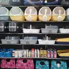 محل قطه وطير
