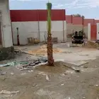 متوفر نخل زينه واشنطني جميع المقاسات ول احجام موجوده