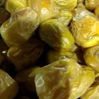 مفتل جلكسي أنواع التمور